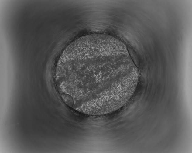 X0000091730817200709141223