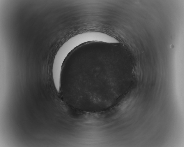 X0000091730818200709141223