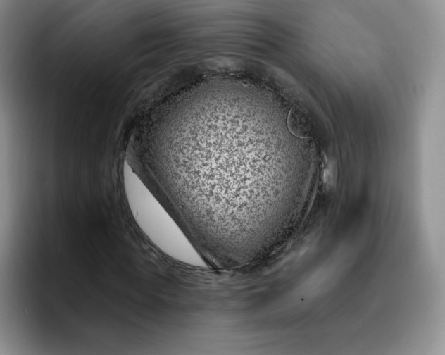 X0000091730819200709141223