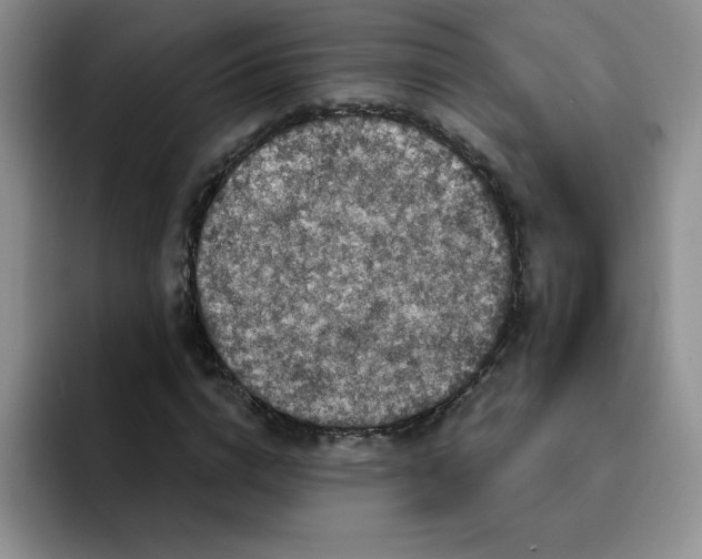 X0000091730824200709141224