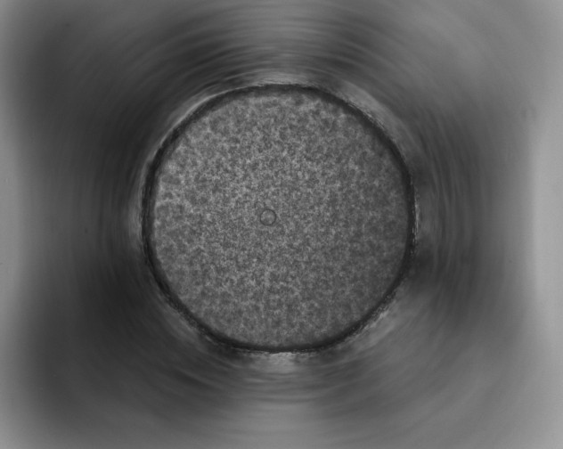 X0000091730828200709141224