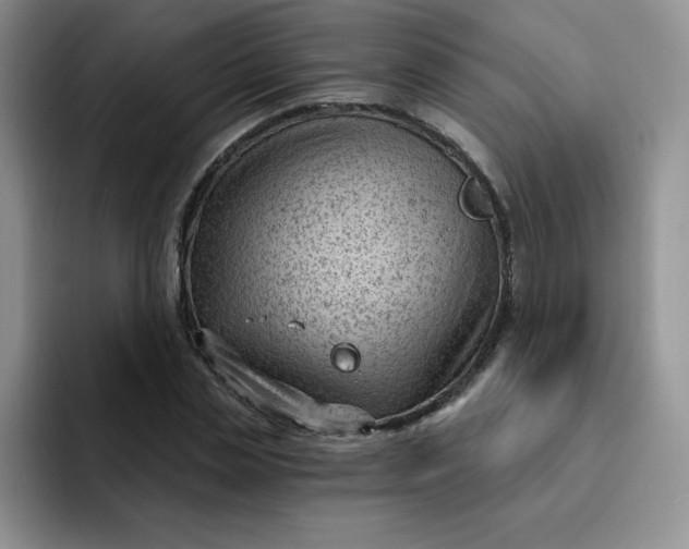 X0000091730829200709141224