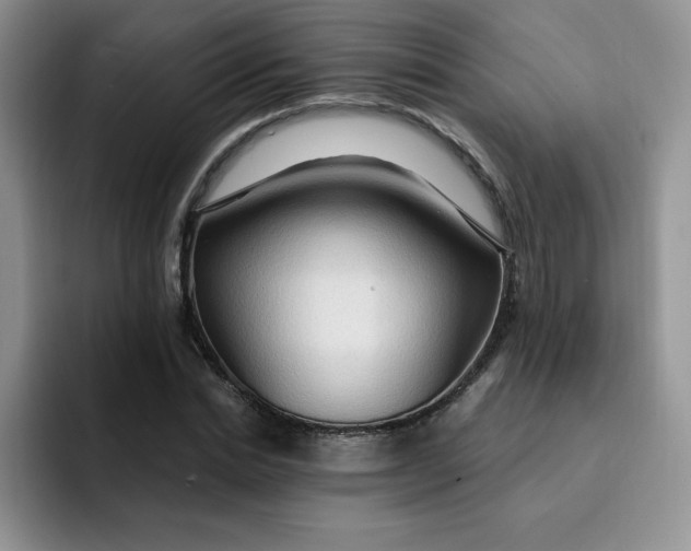 X0000091730830200709141224