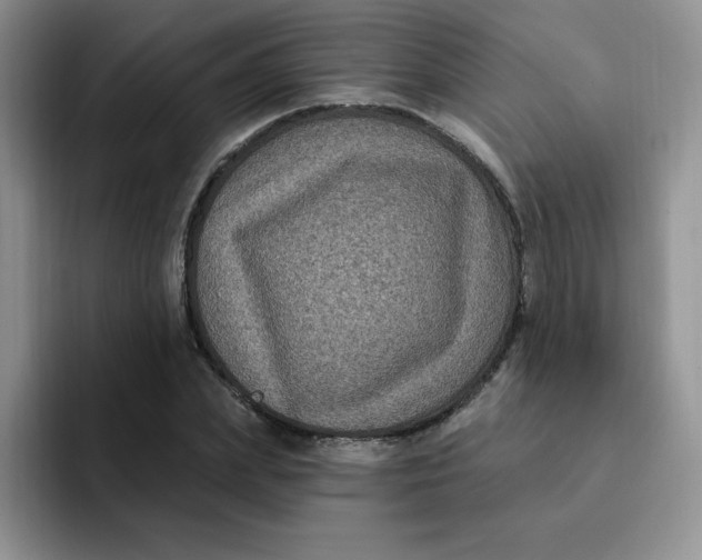 X0000091730831200709141224