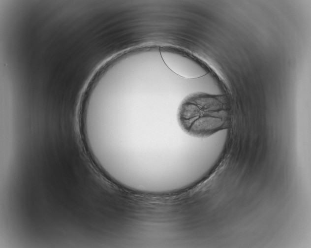 X0000091730832200709141224