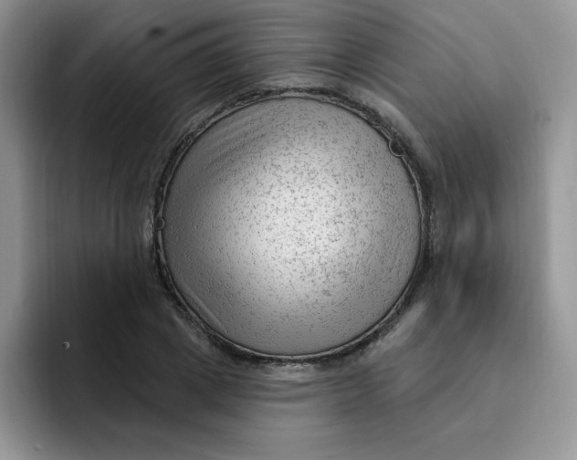 X0000091730833200709141224