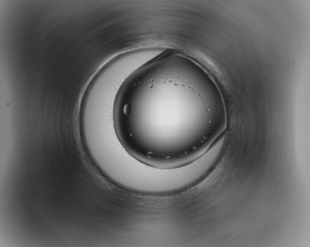 X0000091730836200709141224