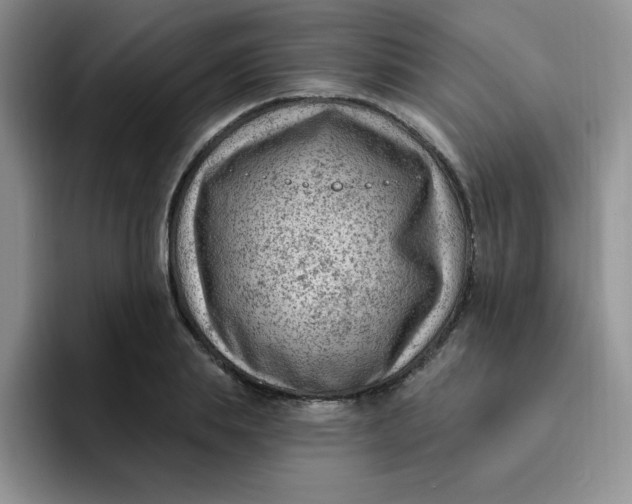 X0000091730839200709141224