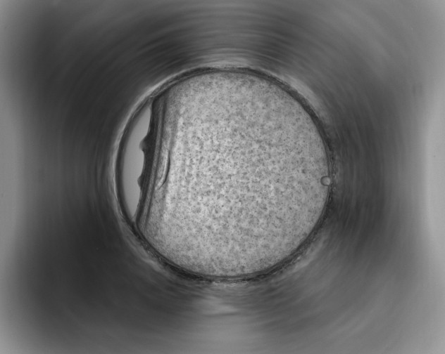 X0000091730840200709141224