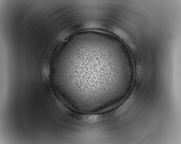 X0000091730841200709141224