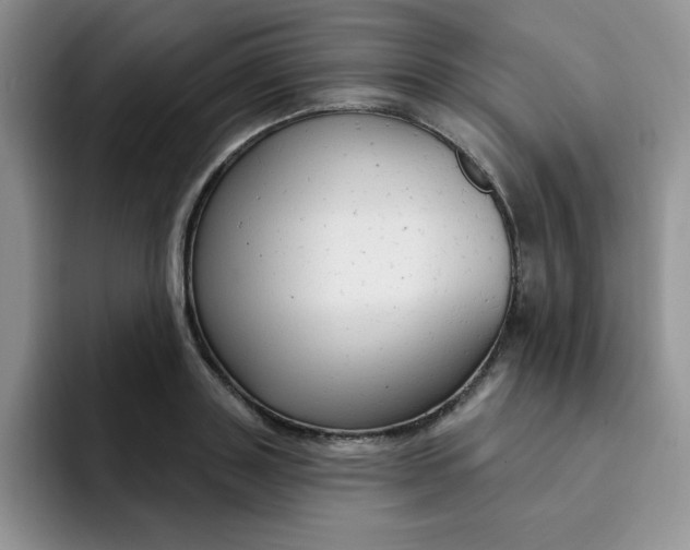 X0000091730843200709141224