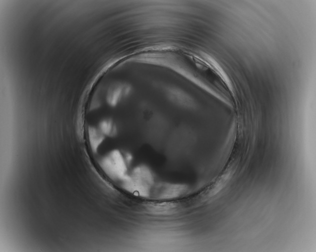 X0000091730851200709141224