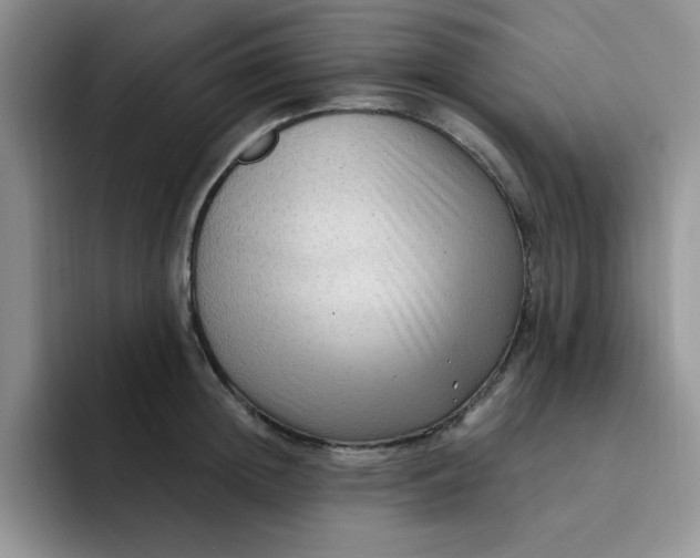 X0000091730852200709141224