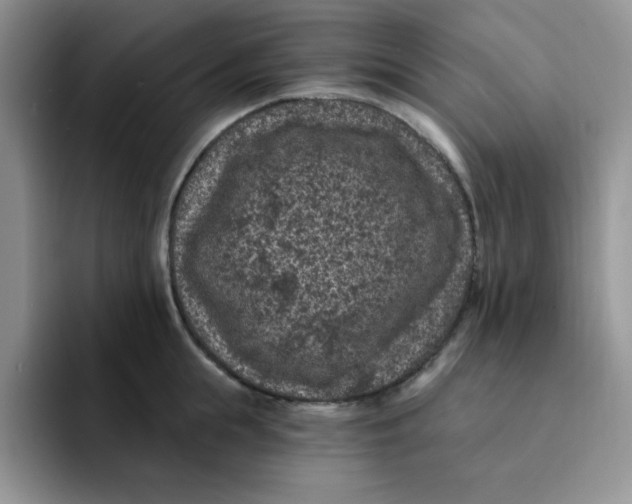 X0000091730855200709141224