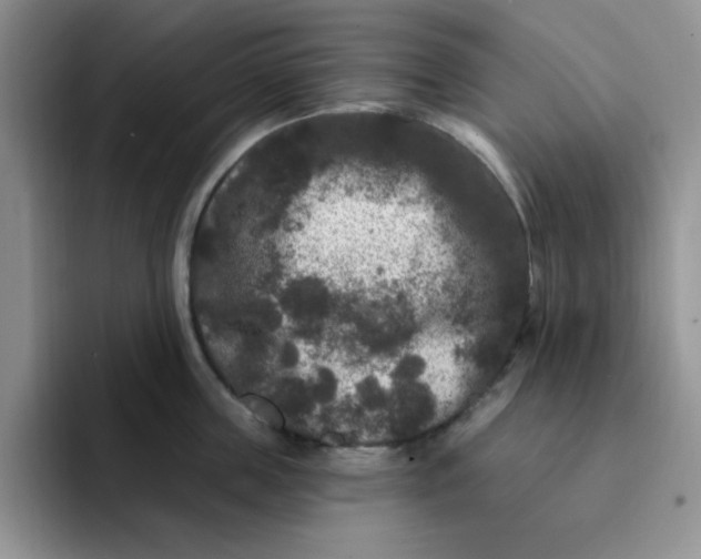 X0000091730859200709141224