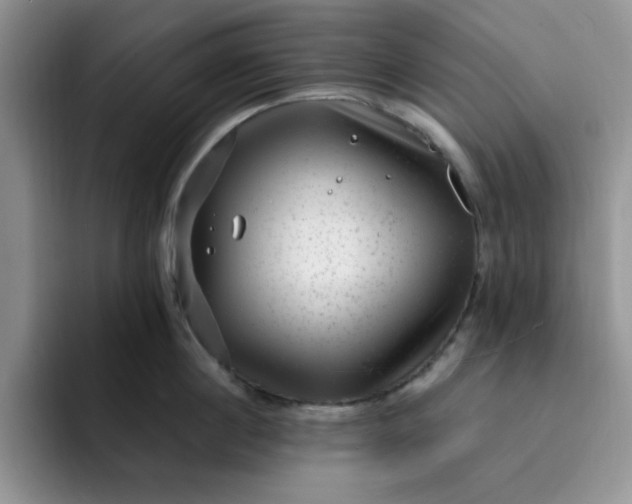 X0000091730860200709141224