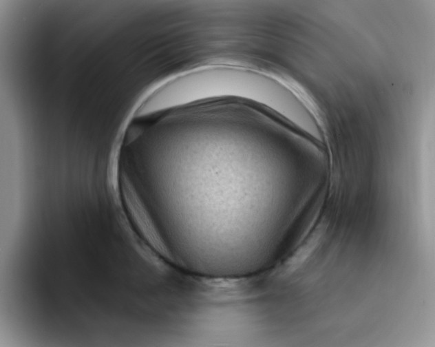 X0000091730862200709141224