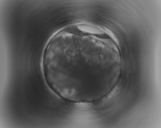 X0000091730863200709141224