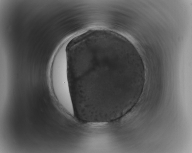 X0000091730864200709141224