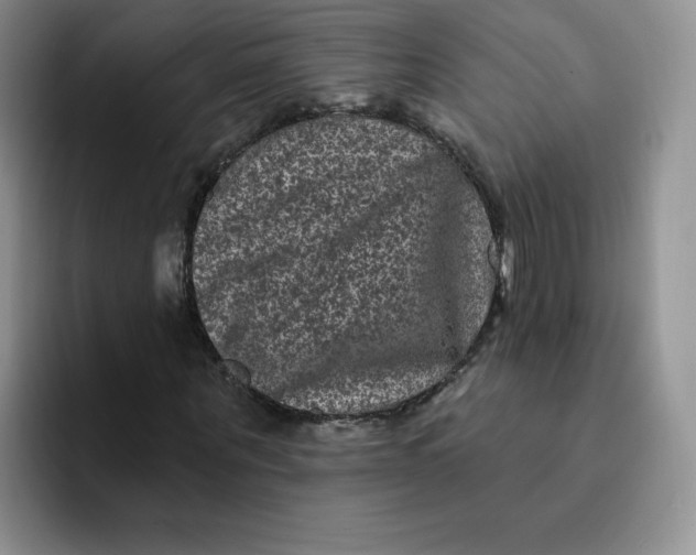 X0000091730867200709141223