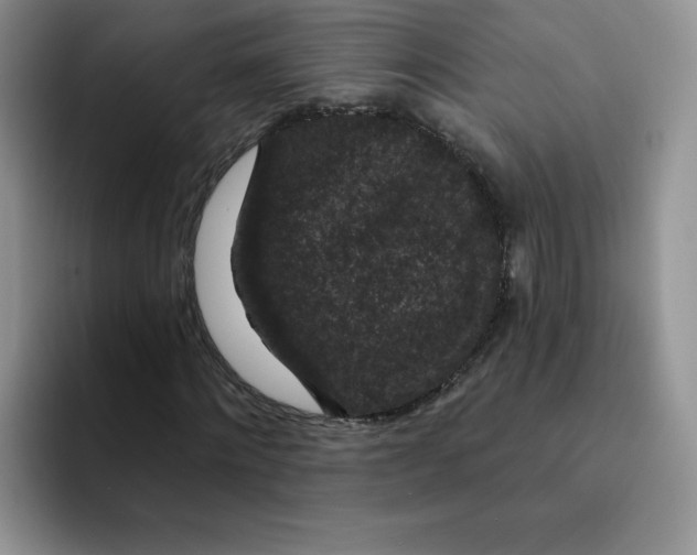 X0000091730868200709141223