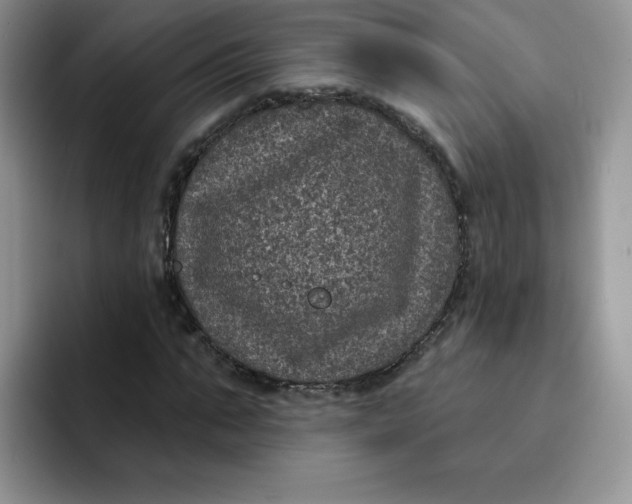 X0000091730871200709141223