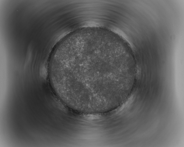 X0000091730874200709141223