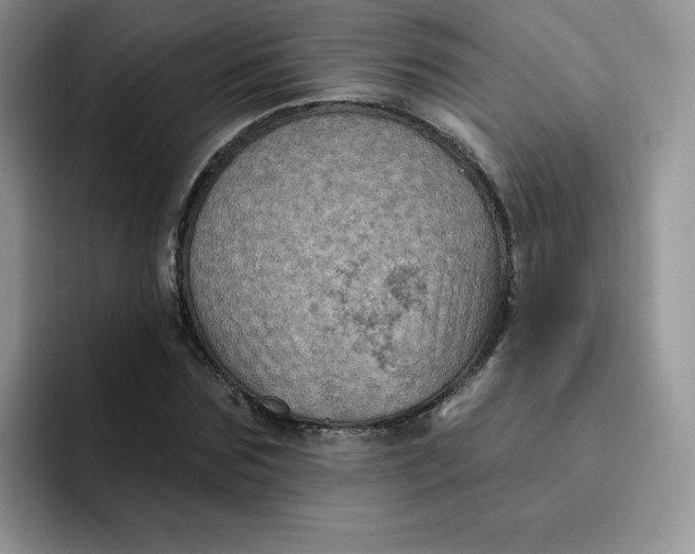 X0000091730875200709141223