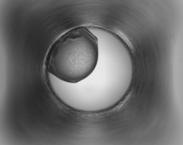 X0000091730876200709141223