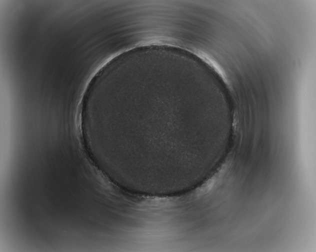 X0000091730877200709141223