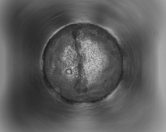 X0000091730879200709141223