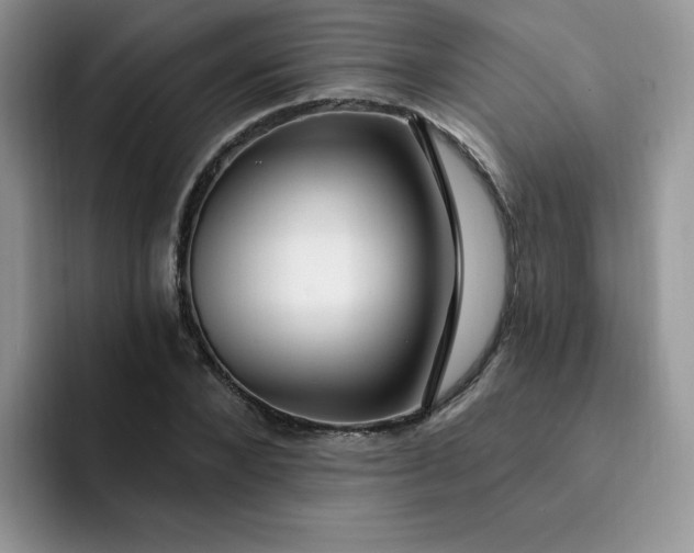 X0000091730880200709141223