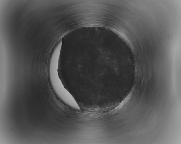 X0000091730881200709141223