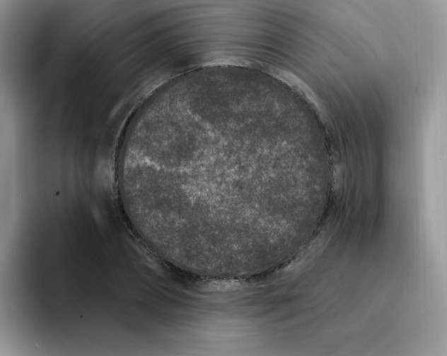 X0000091730882200709141223