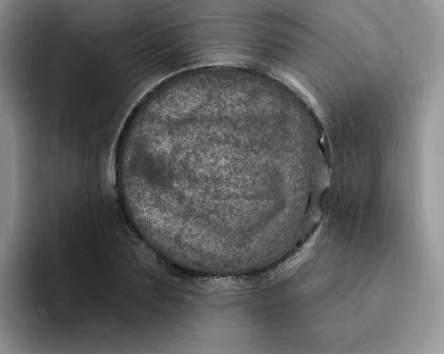 X0000091730883200709141223