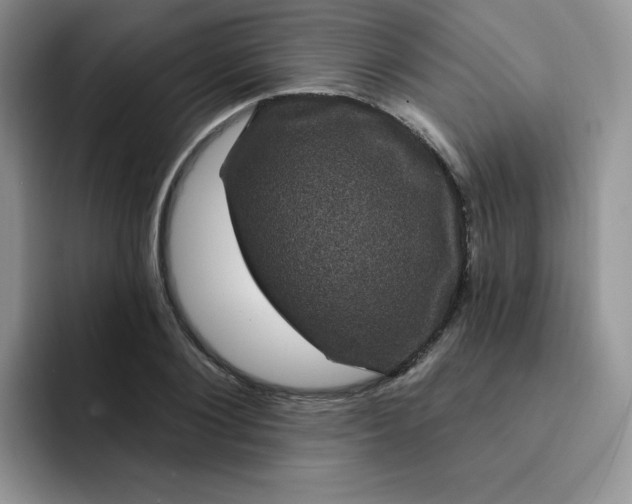 X0000091730884200709141223