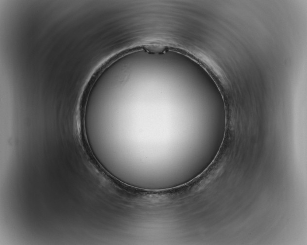 X0000091730888200709141223