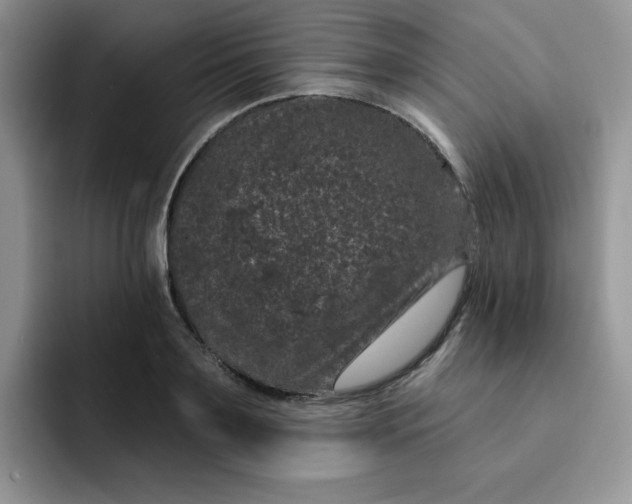 X0000091730891200709141223