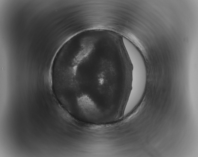 X0000091730892200709141223