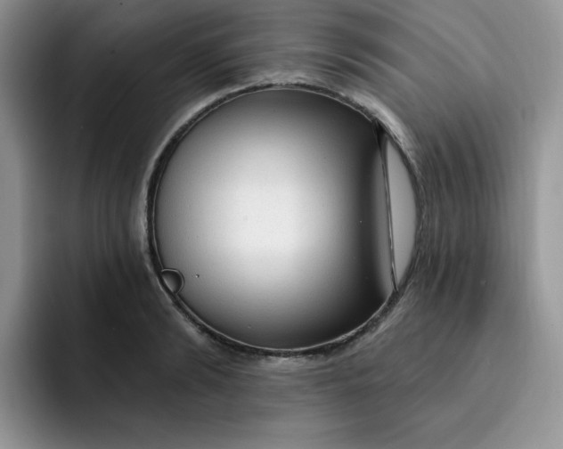 X0000091730894200709141223