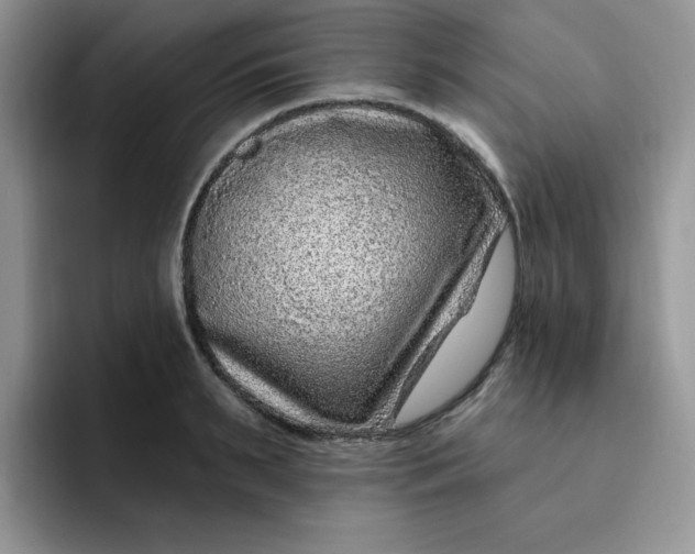 X0000091730895200709141223