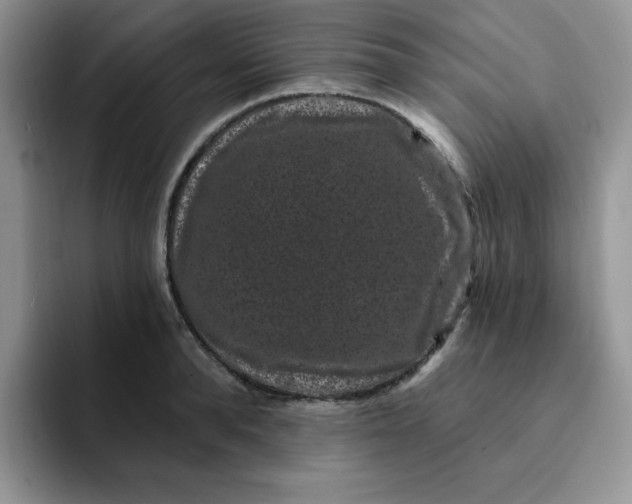 X0000091730896200709141223