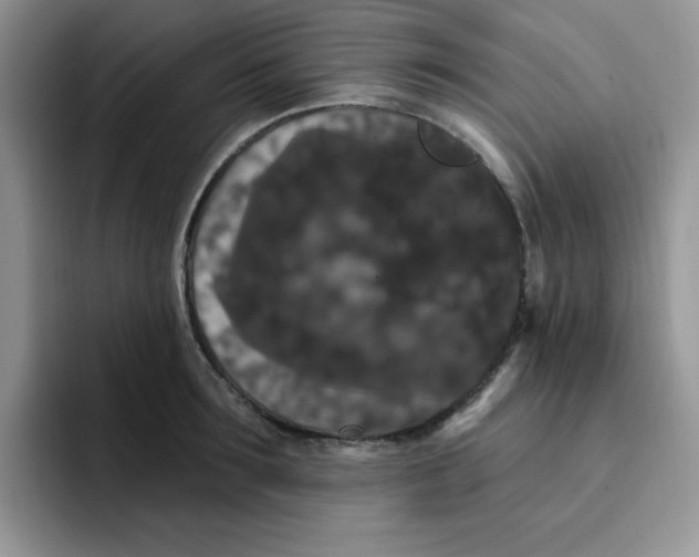 X0000091730899200709141223