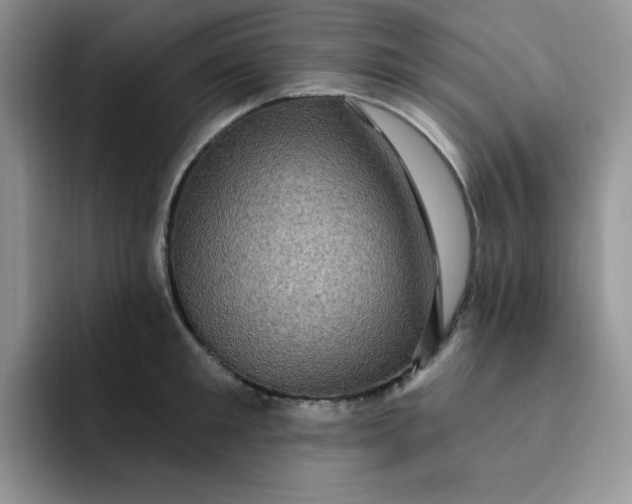 X0000091730901200709141223