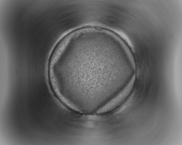 X0000091730903200709141223