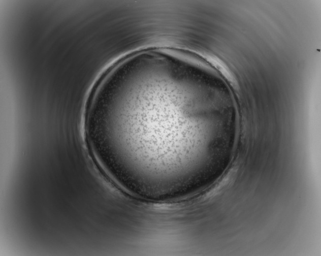 X0000091730904200709141223