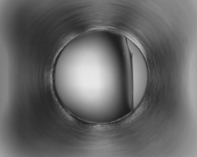 X0000091730906200709141223