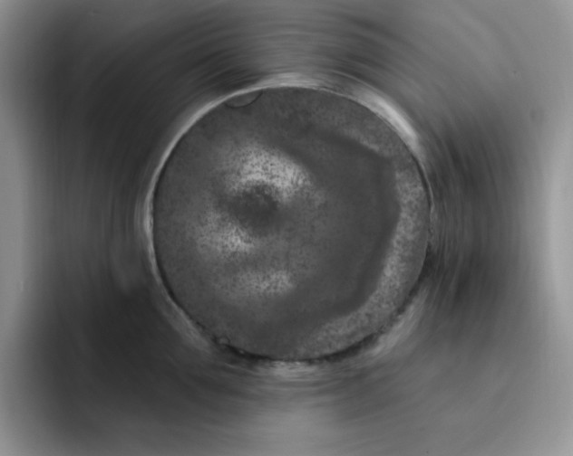 X0000091730907200709141223