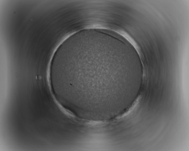 X0000091730909200709141223