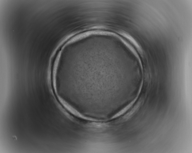 X0000091730910200709141223